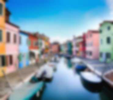 Tripo Image