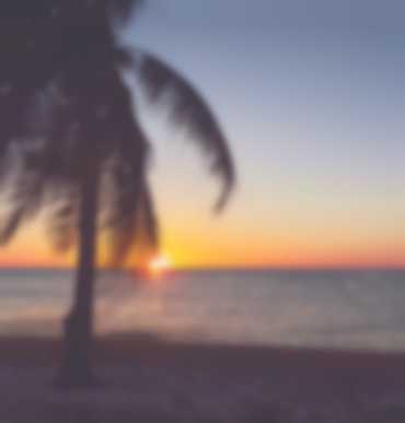 Tripo Image